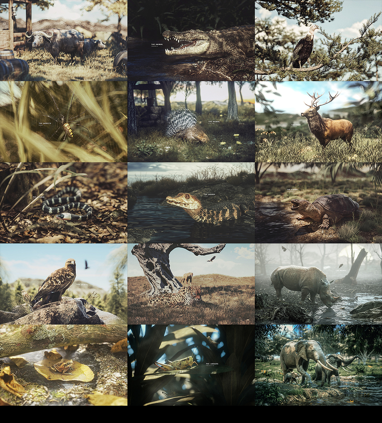 动物世界（图ZMjMyNjQ3MjQ0） - 人物/生物 - 站酷设计师over番茄酱原创素材 - 站酷ZCOOL