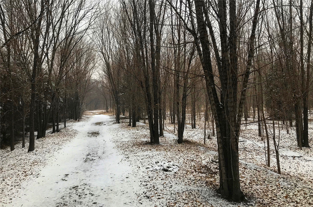 刘勇良手机纪实摄影:春雪