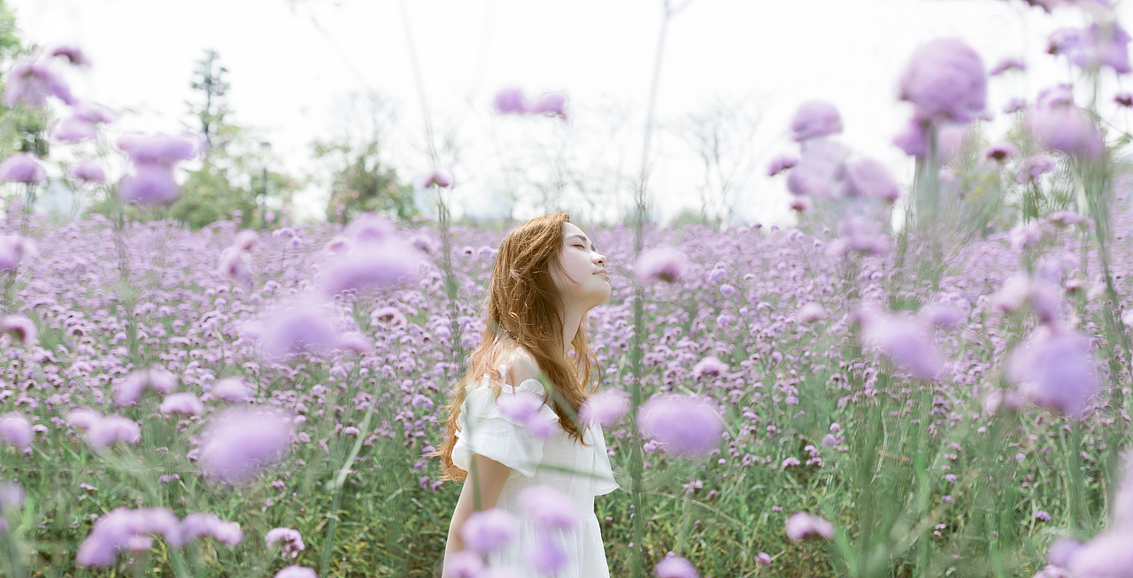 淡淡的紫色的海