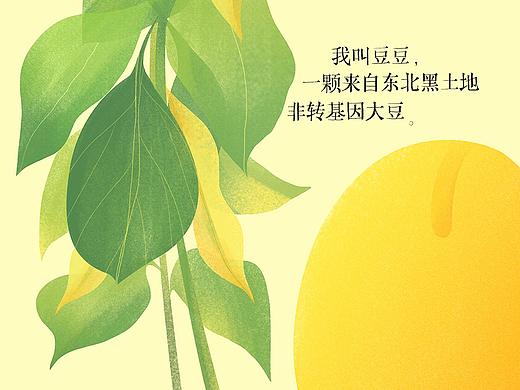 2018年台历（一颗豆子的旅程）