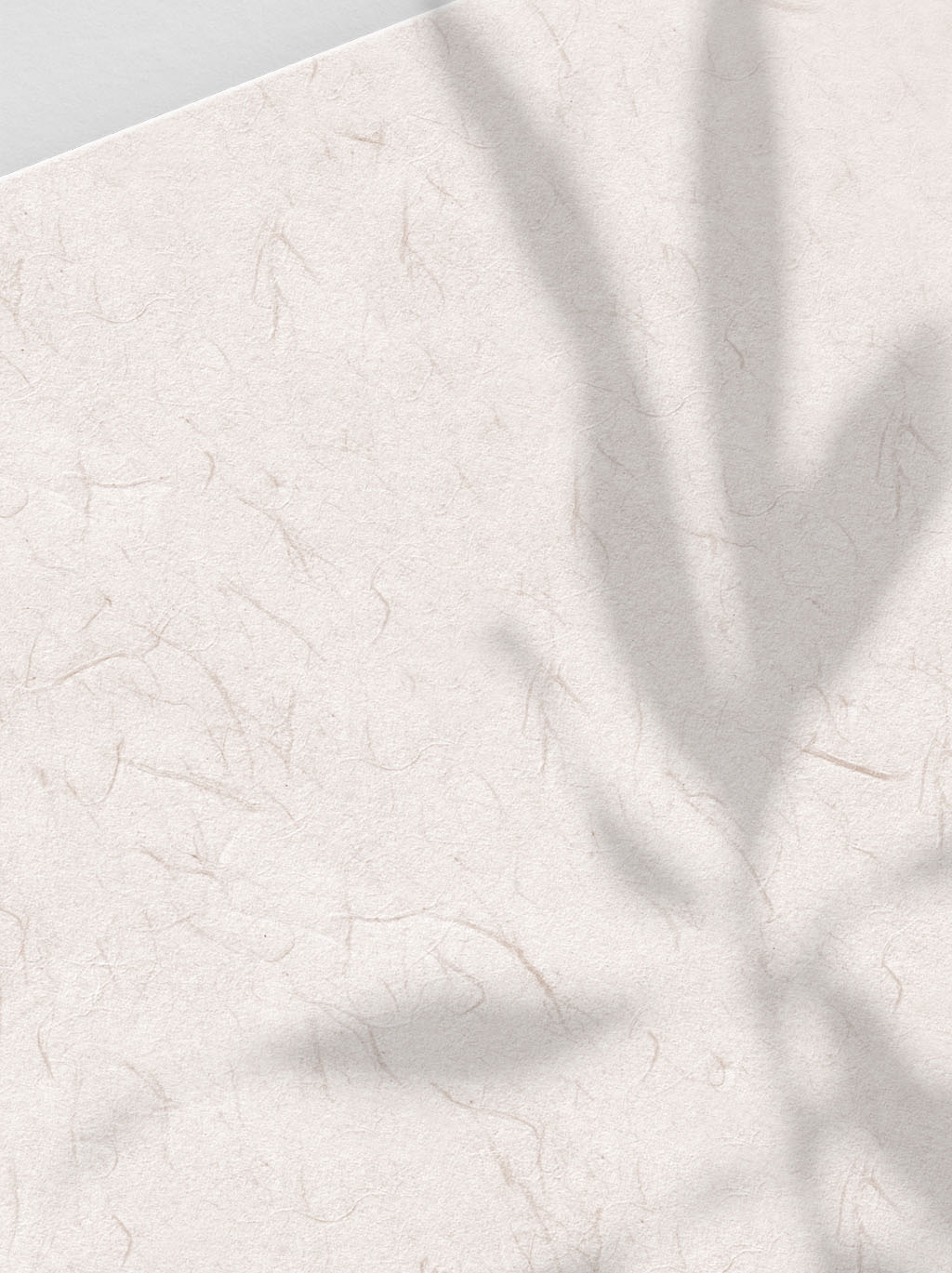 安天映画的个人主页（背景预览） - 主页背景设置 - 站酷设计师安天映画原创素材 - 站酷ZCOOL