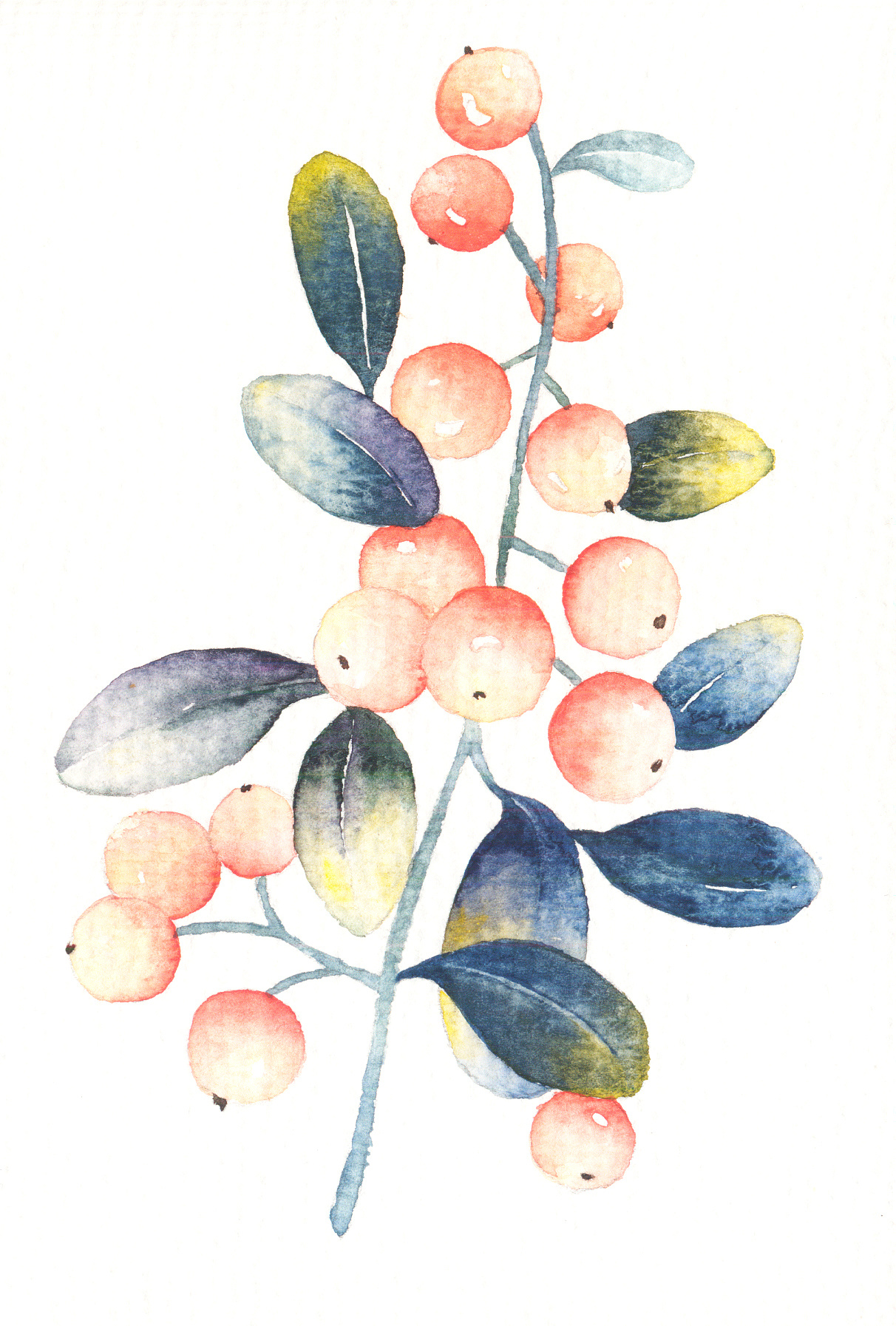 水彩果子呀|插画|艺术插画|theone热望 - 原创作品 - 站酷 (zcool)