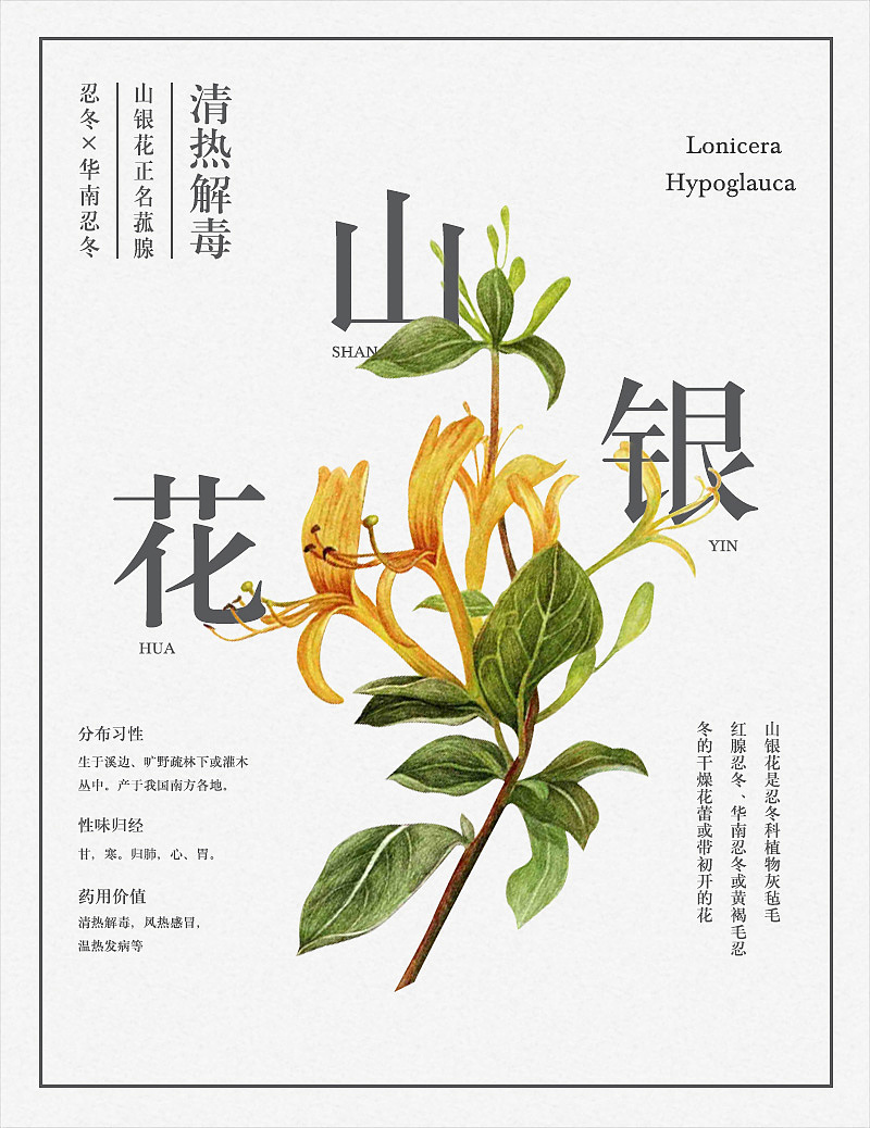 海报（图ZNzAzODA2NDg=） - 海报 - 站酷设计师聆静L原创素材 - 站酷ZCOOL