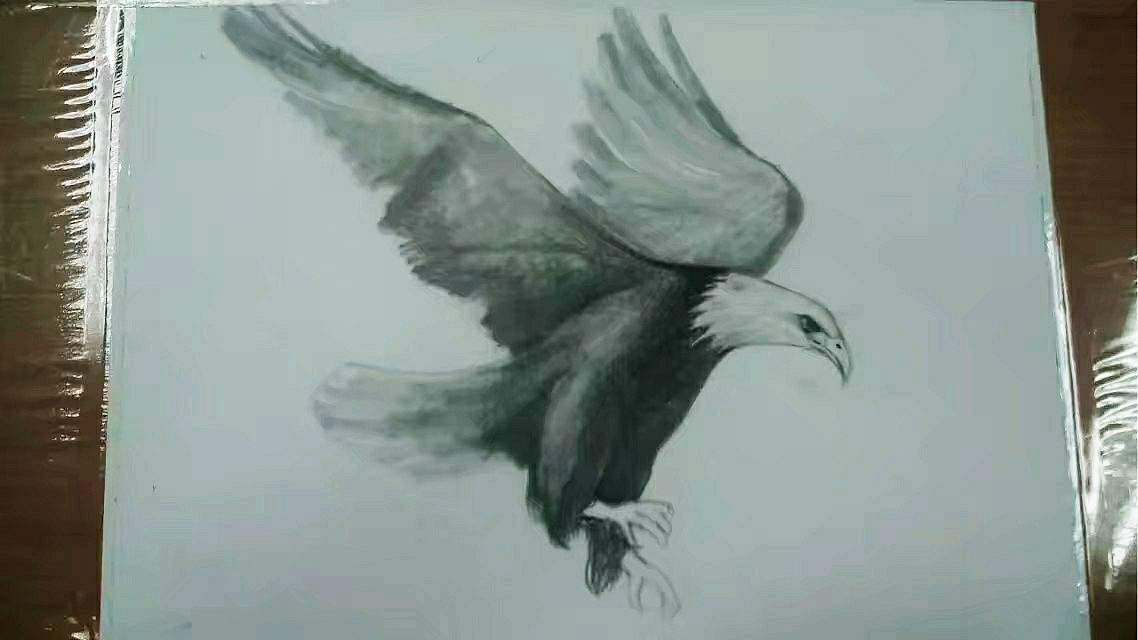 写实~鹰（图ZMTk2NjU0MDA4） - 艺术插画 - 站酷设计师独怜幽草原创素材 - 站酷ZCOOL