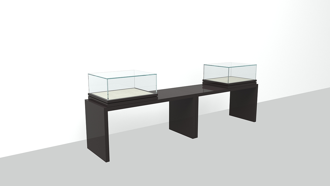 博物馆展柜展台结合柜