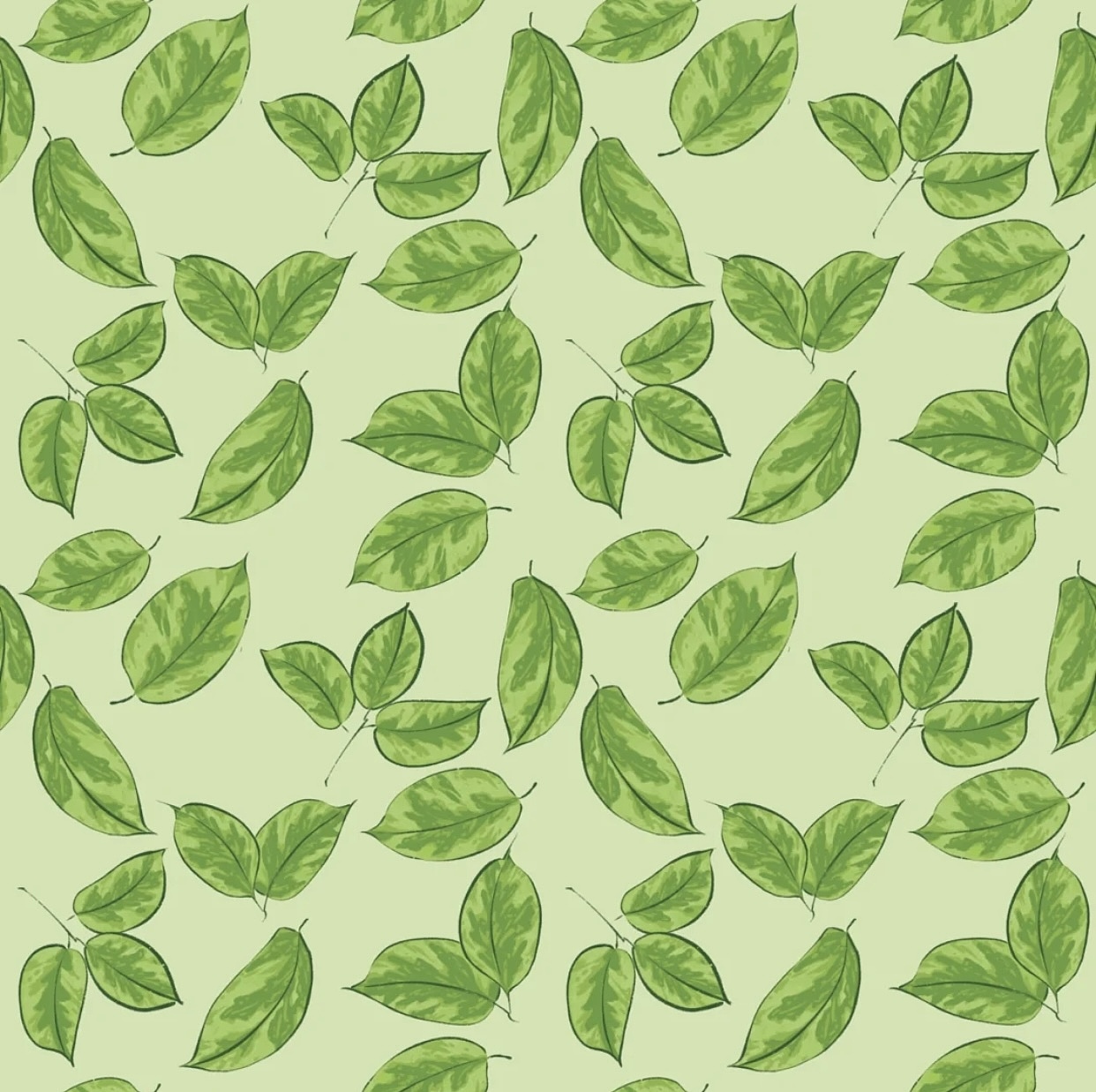 花叶耐冬（图ZMjg3MzQxOTA0） - 图案 - 站酷设计师王速susu原创素材 - 站酷ZCOOL