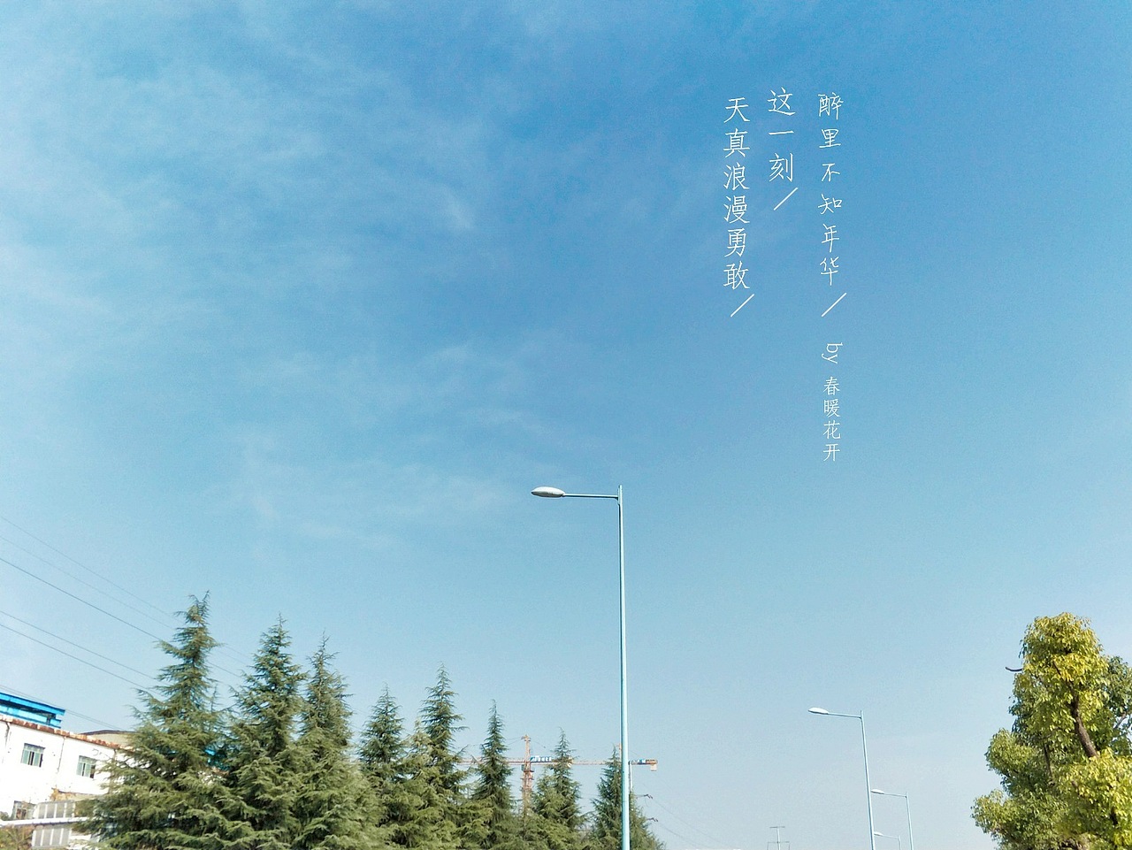 刘浪摄影作品《路灯之影》