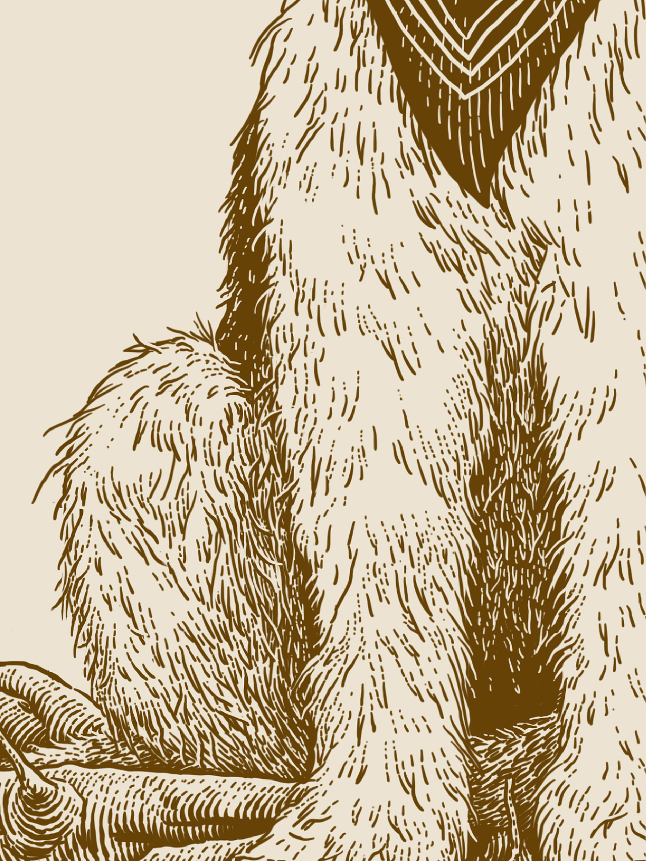 原创插画｜木棍收集器（图ZMjgwMzAzMzIw） - 商业插画 - 站酷设计师花椒的Alex原创素材 - 站酷ZCOOL