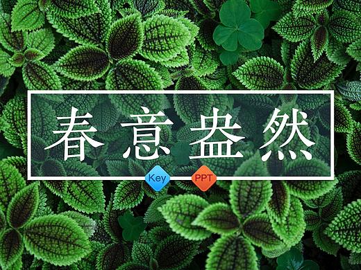 【美学9.0】春意盎然,商务工作总结汇报,附PPT