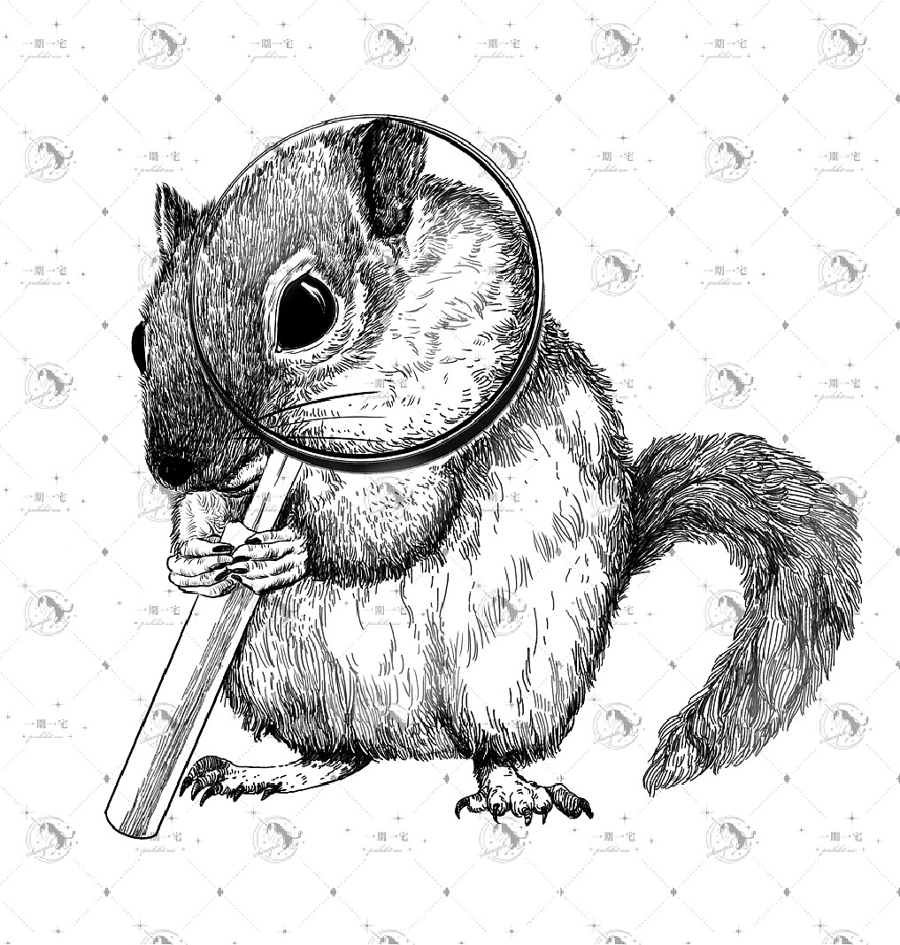三只松鼠主题插画