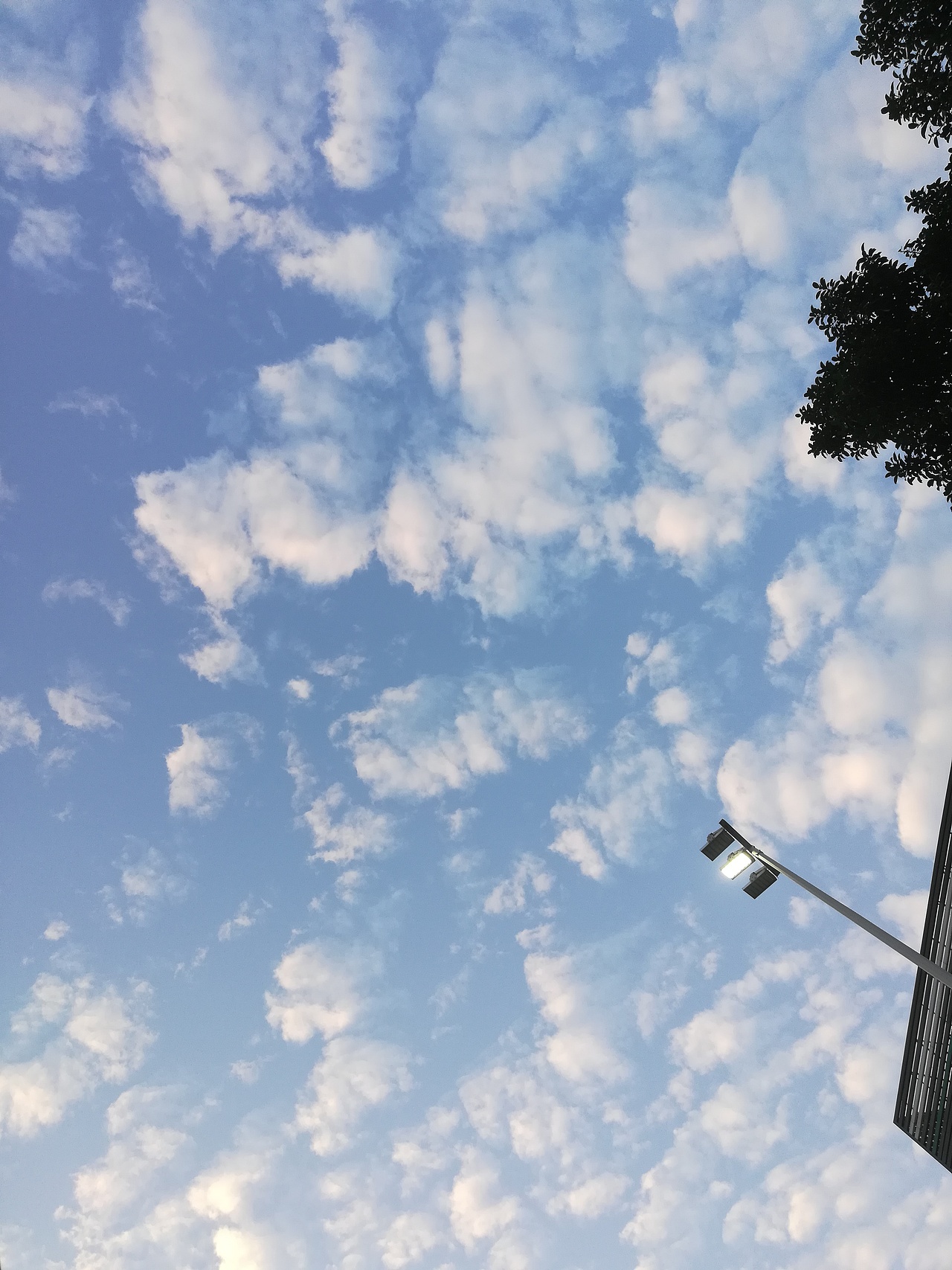 拍摄记录生活（图ZMTYwNjQ1MjQ4） - 人文/纪实摄影 - 站酷设计师弎品原创素材 - 站酷ZCOOL