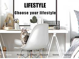 Lifestyle家居网页设计