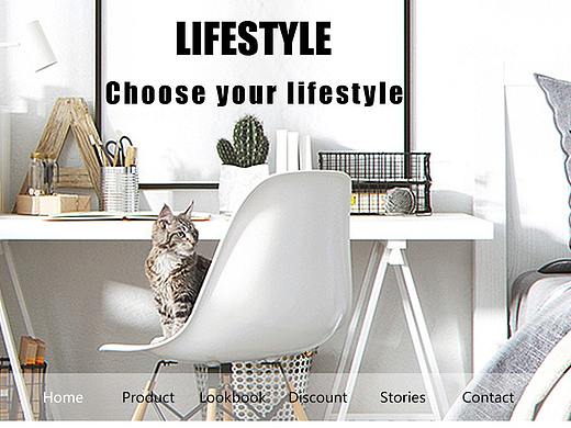 Lifestyle家居网页设计