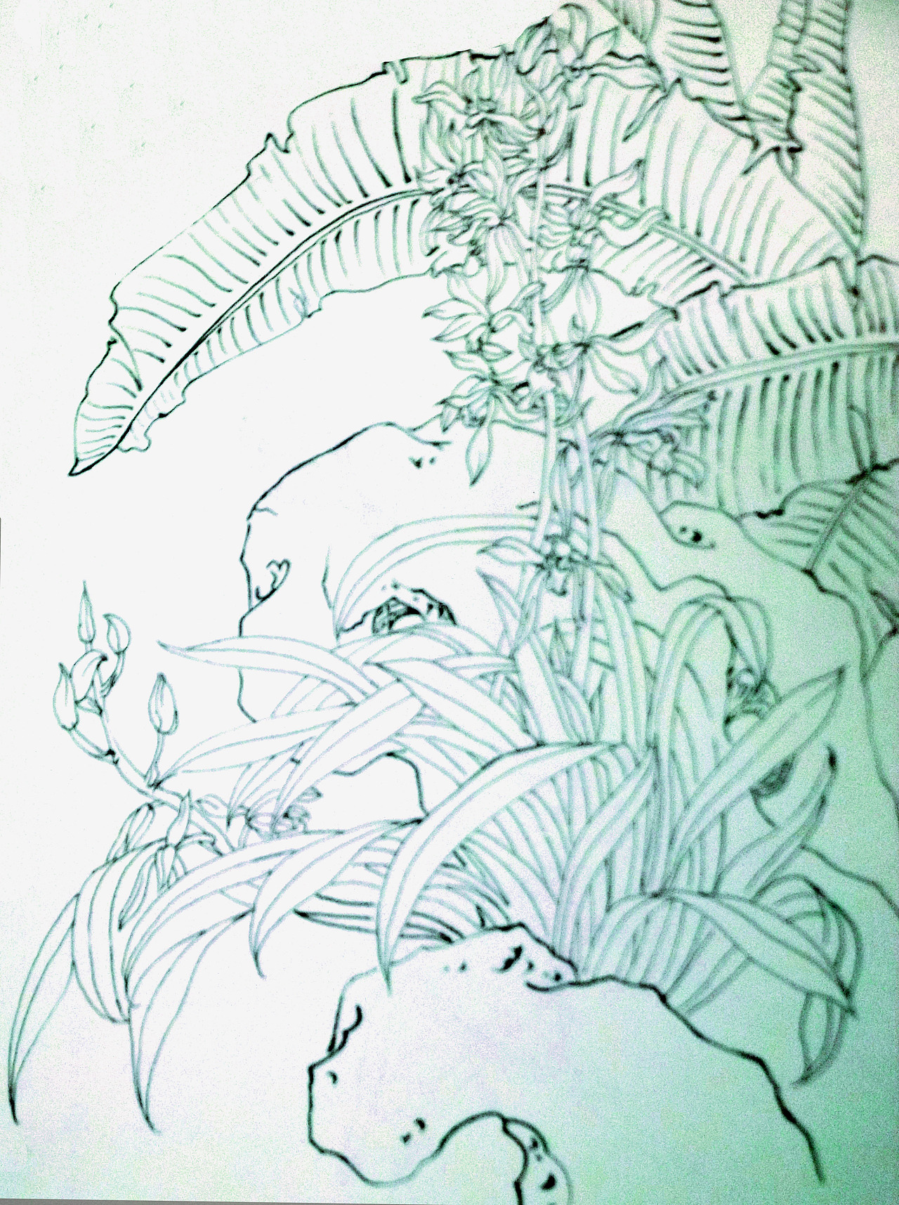 钢笔速写（图ZNTk1NjMyMTY=） - 艺术插画 - 站酷设计师甲甲玲原创素材 - 站酷ZCOOL