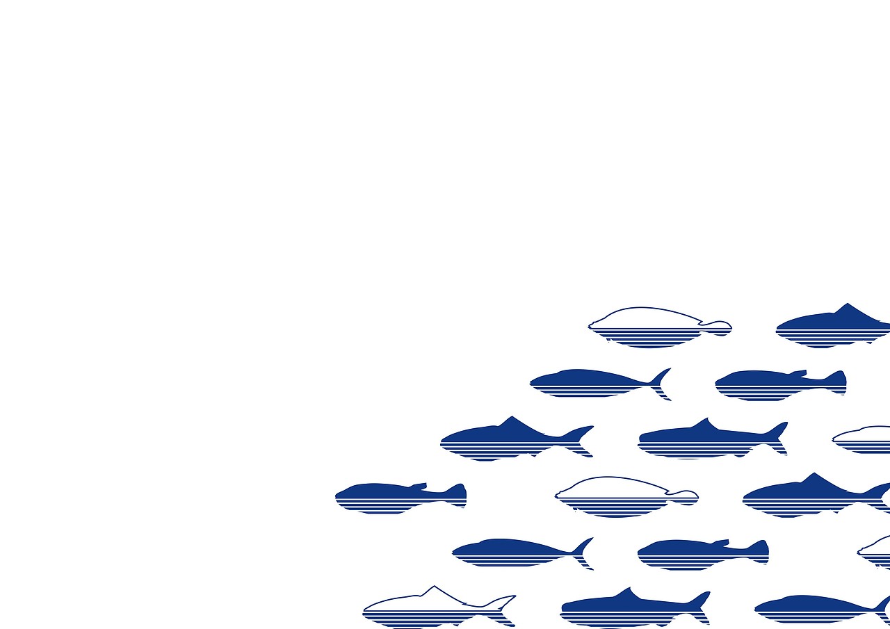 近期三个餐饮品牌整理