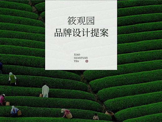 筱观园茶叶品牌提案