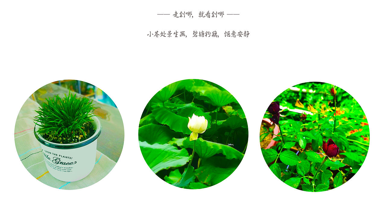 济南闲逛（图ZMTIwMjYyMjM2） - 海报 - 站酷设计师一个没灵魂的美工原创素材 - 站酷ZCOOL