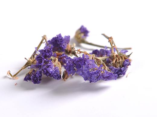 花茶摄影