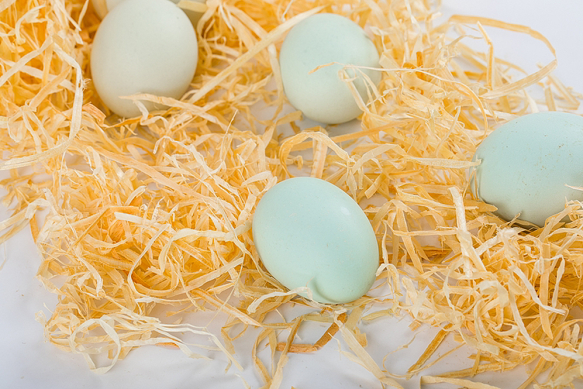 生鲜｜乌鸡蛋（图ZMzQ2OTQ3MzI4） - 美食摄影 - 站酷设计师丫姐原创素材 - 站酷ZCOOL