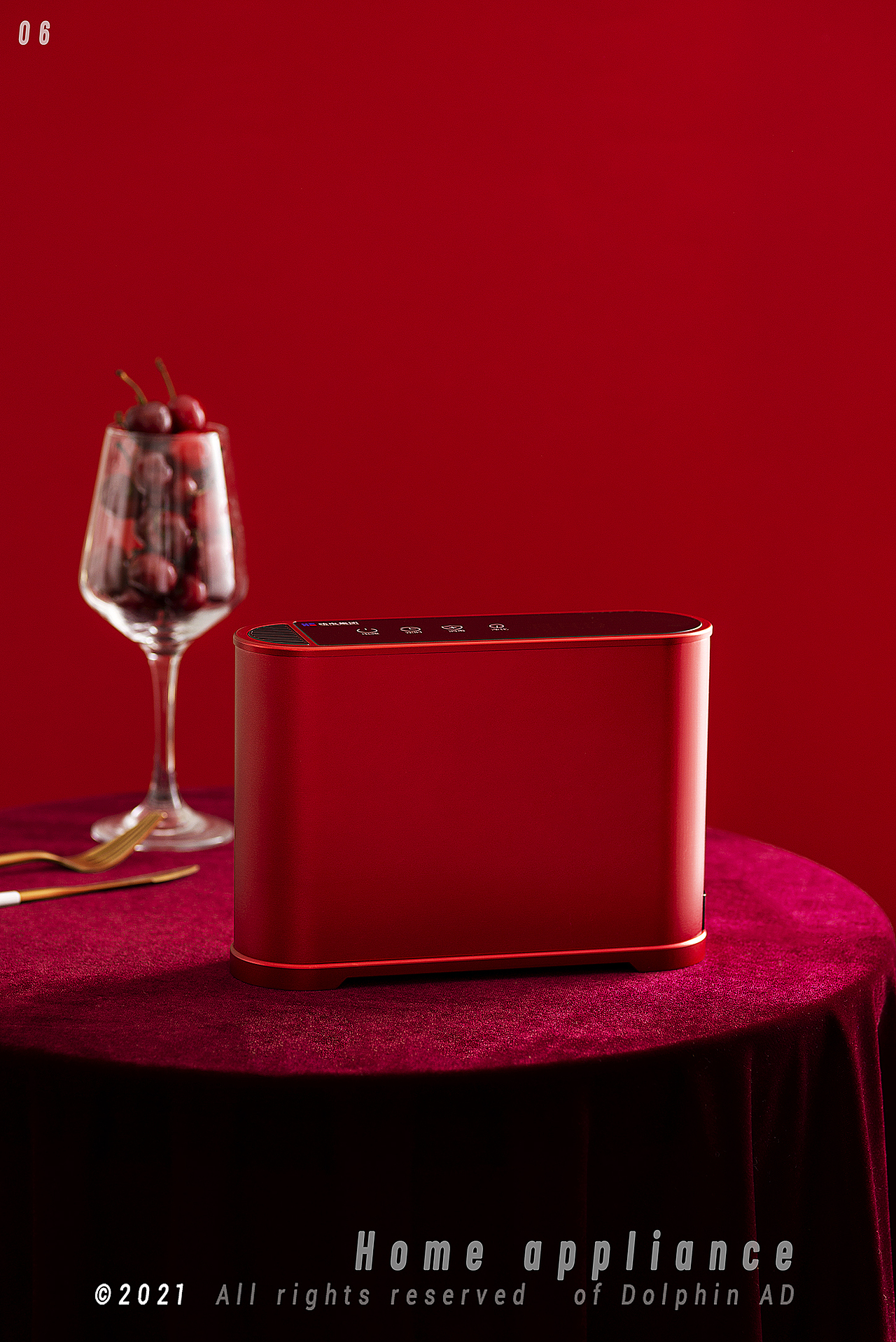 小家电/工业级臭氧消毒机