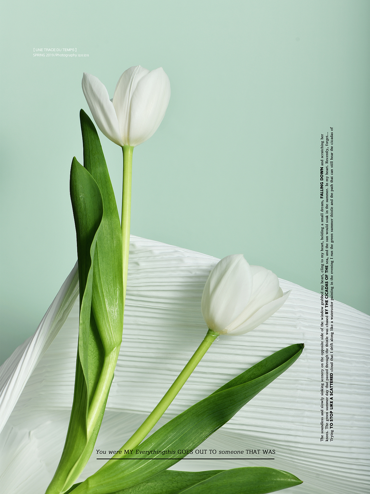 【对色的执念--观己观心】（图ZMTU4NDYzMTU2） - 产品摄影 - 站酷设计师瞌睡蜜蜂原创素材 - 站酷ZCOOL