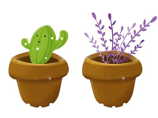 植物