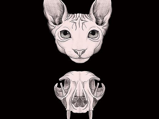 黑色的猫（个人主页-ZMzg2NDc1OTI=） - 创作习作 - 站酷设计师就跟你说不要分梨原创素材 - 站酷ZCOOL