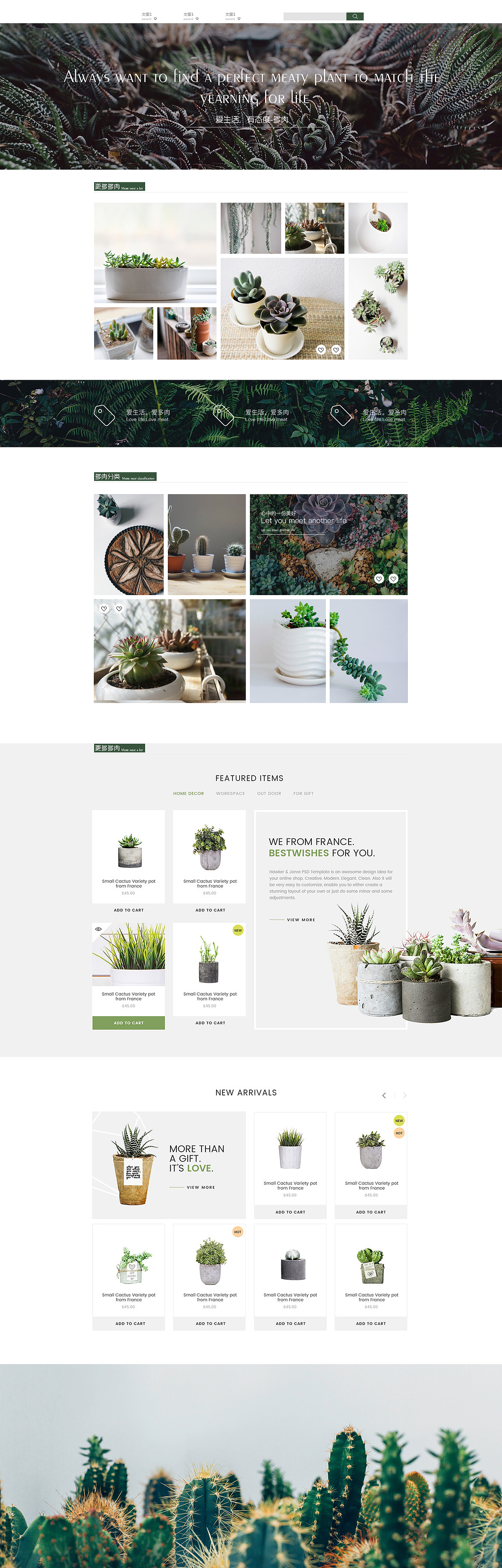 多肉（圖ZODE0Mjg0MDg=） - 其他網(wǎng)頁 - 站酷設(shè)計師SONGZUOZUO原創(chuàng)素材 - 站酷ZCOOL