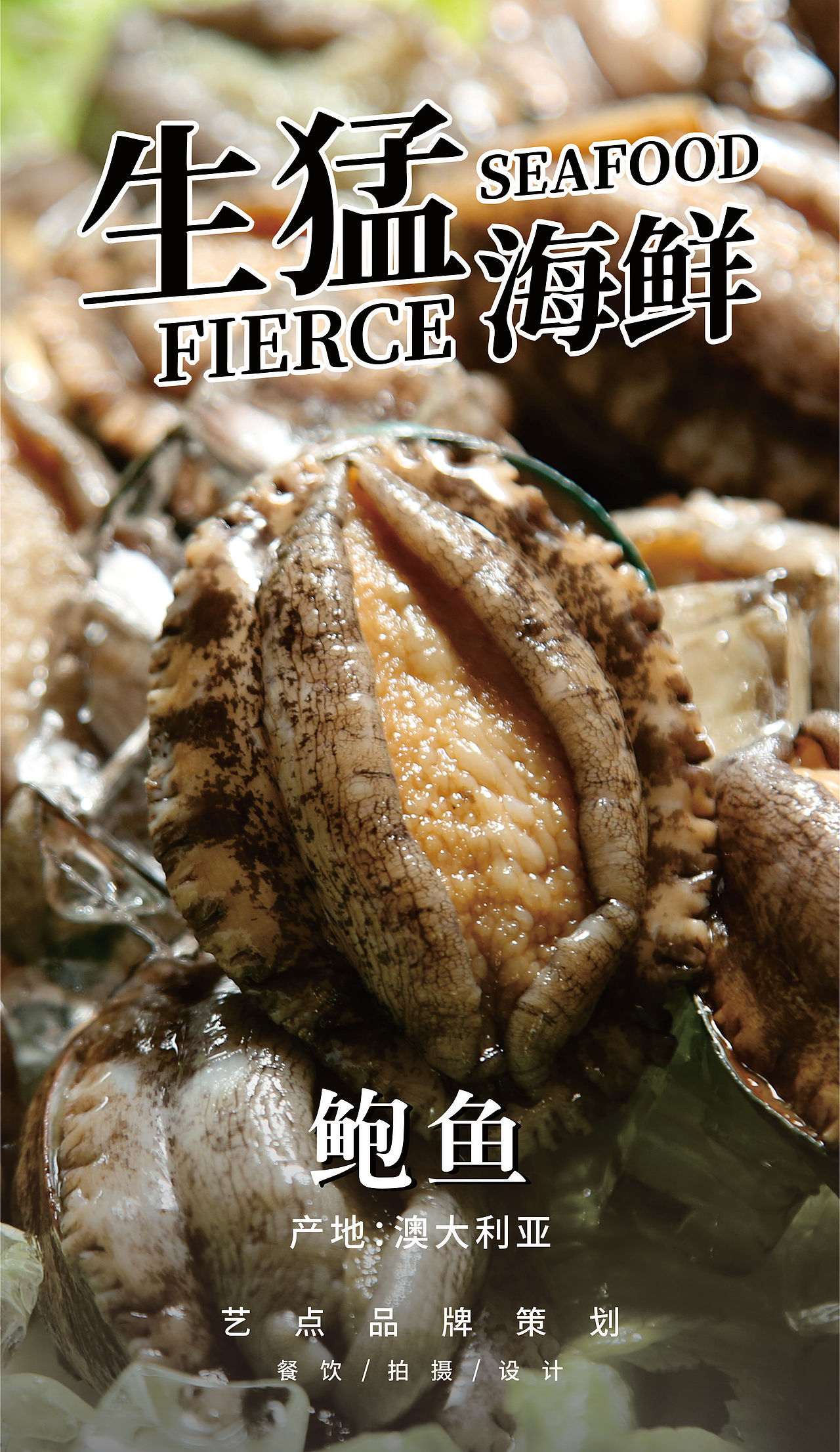 【美食摄影】|【海鲜】东江×子目（图ZMjM5NTgzODUy） - 产品摄影 - 站酷设计师庄周KING原创素材 - 站酷ZCOOL