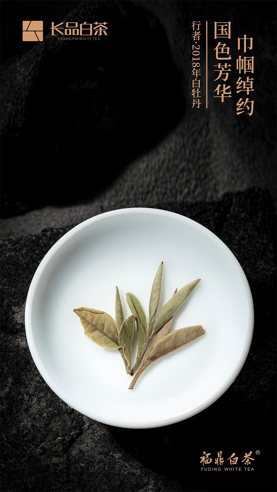 行者——福鼎白茶产品拍摄（图ZMzE0MjgxNDky） - 产品摄影 - 站酷设计师亲研图摄原创素材 - 站酷ZCOOL