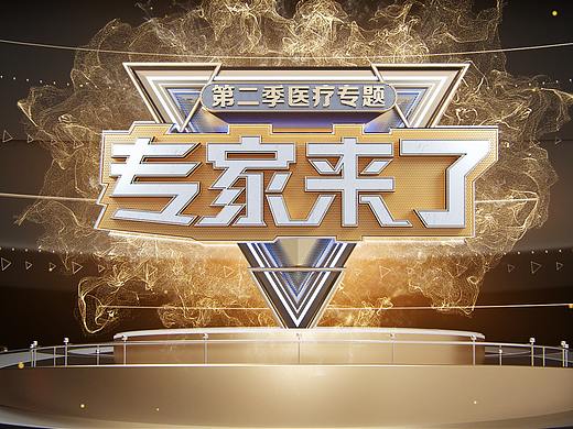 专家来了片头小项目