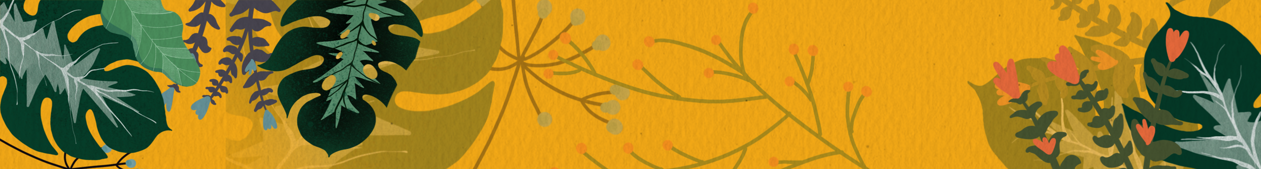 阿博博啊a的個(gè)人主頁(yè)（封面預(yù)覽） - 主頁(yè)封面設(shè)置 - 站酷設(shè)計(jì)師阿博博啊a原創(chuàng)素材 - 站酷ZCOOL