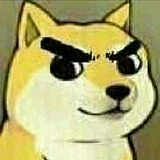 燃烧吧骚年的头像