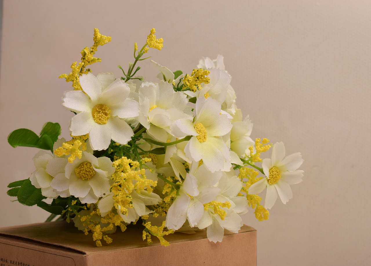 靜物（圖ZMjA3Njk0MTY4） - 產(chǎn)品攝影 - 站酷設(shè)計(jì)師苗DADA原創(chuàng)素材 - 站酷ZCOOL