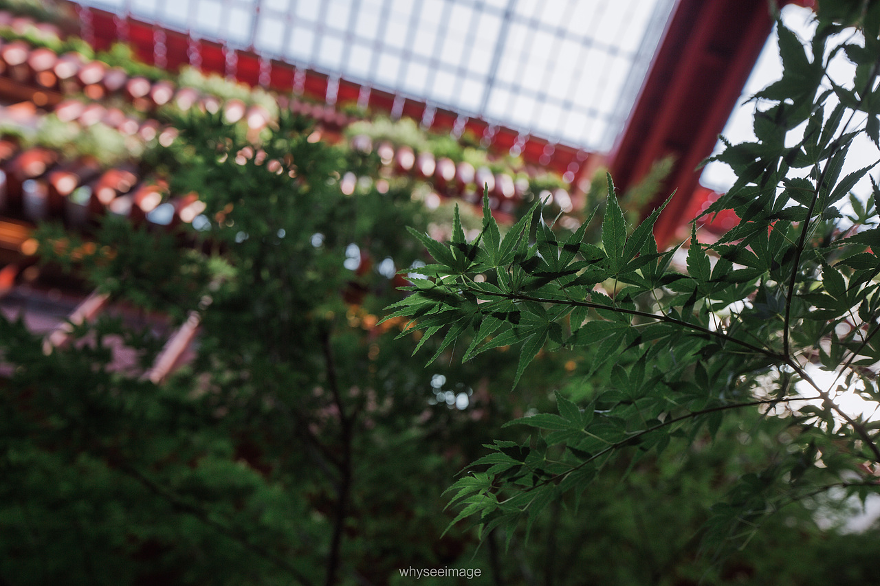 旭辉天地 The Roof | 魔都建筑奇谭记