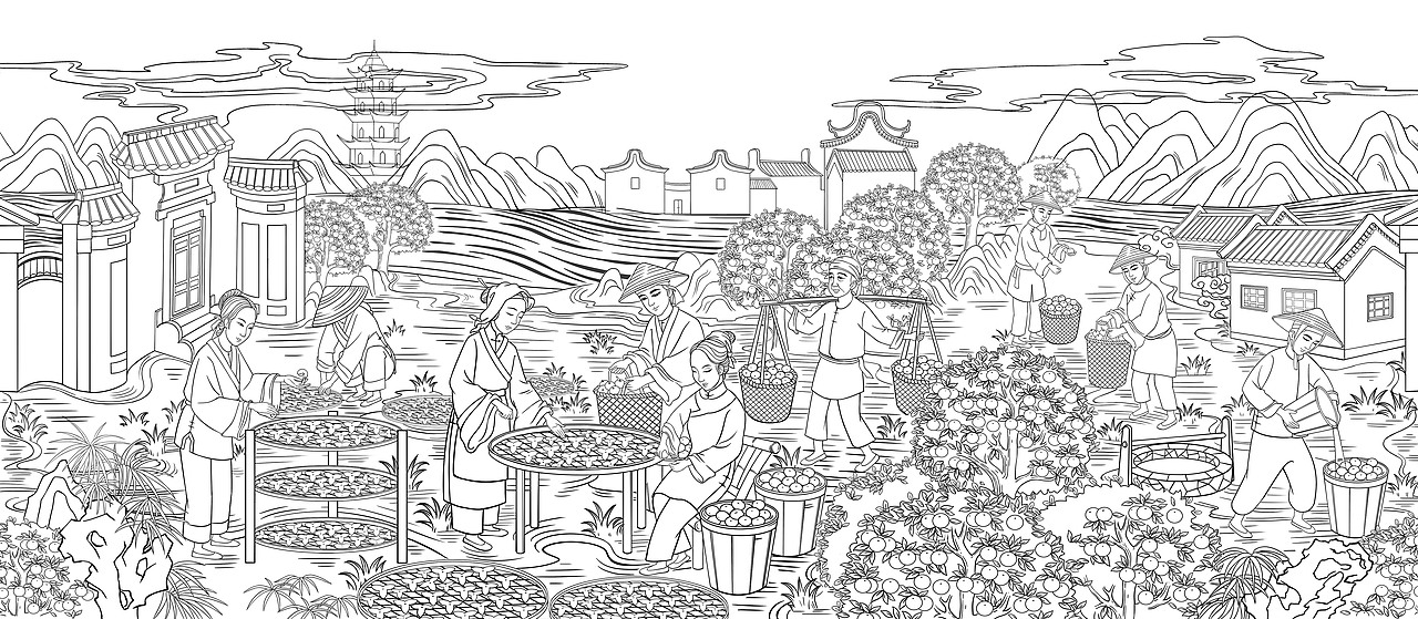 插画、陈皮加工场景