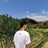 听风ww的头像