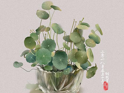 一盆銅錢草（個(gè)人主頁(yè)-ZMjc3MTM2MTY=） - 創(chuàng)作習(xí)作 - 站酷設(shè)計(jì)師七佰年原創(chuàng)素材 - 站酷ZCOOL