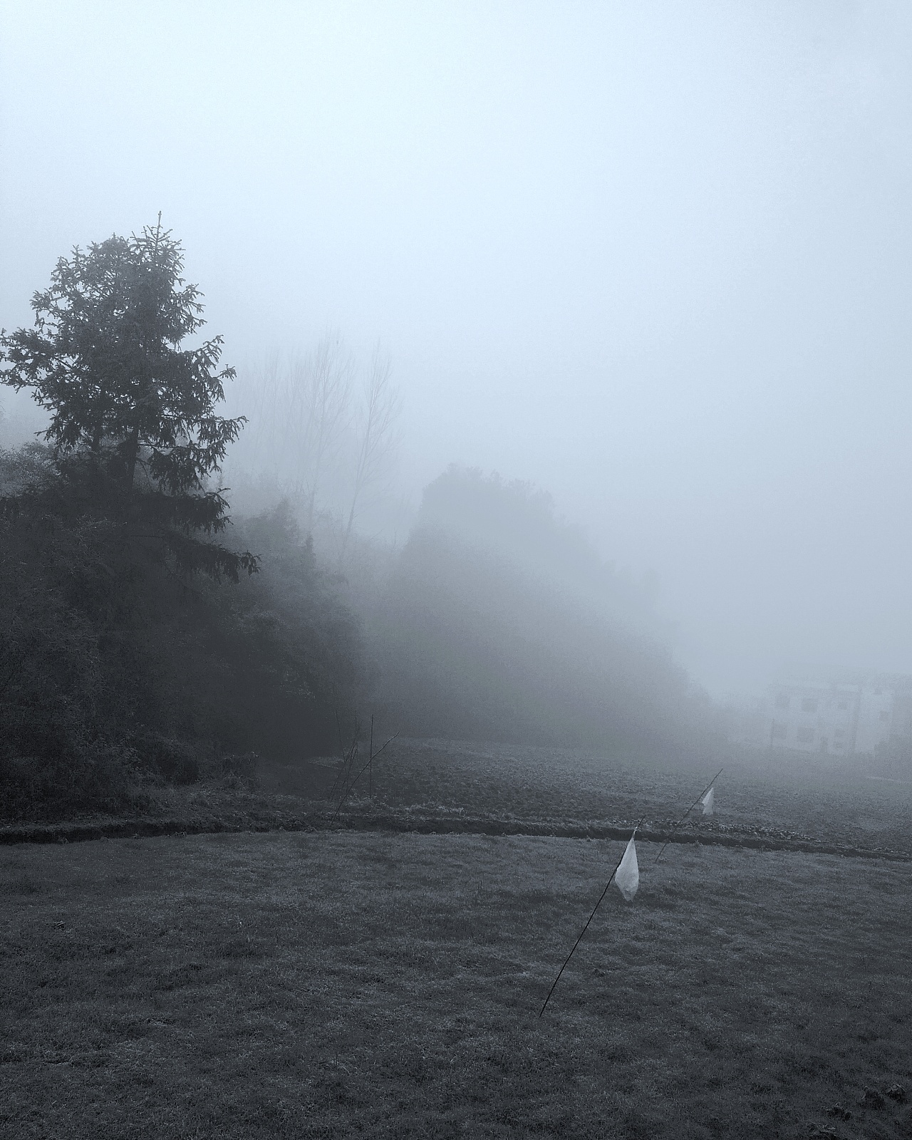 大雾照片风景图片图片