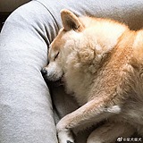 胡超123的头像
