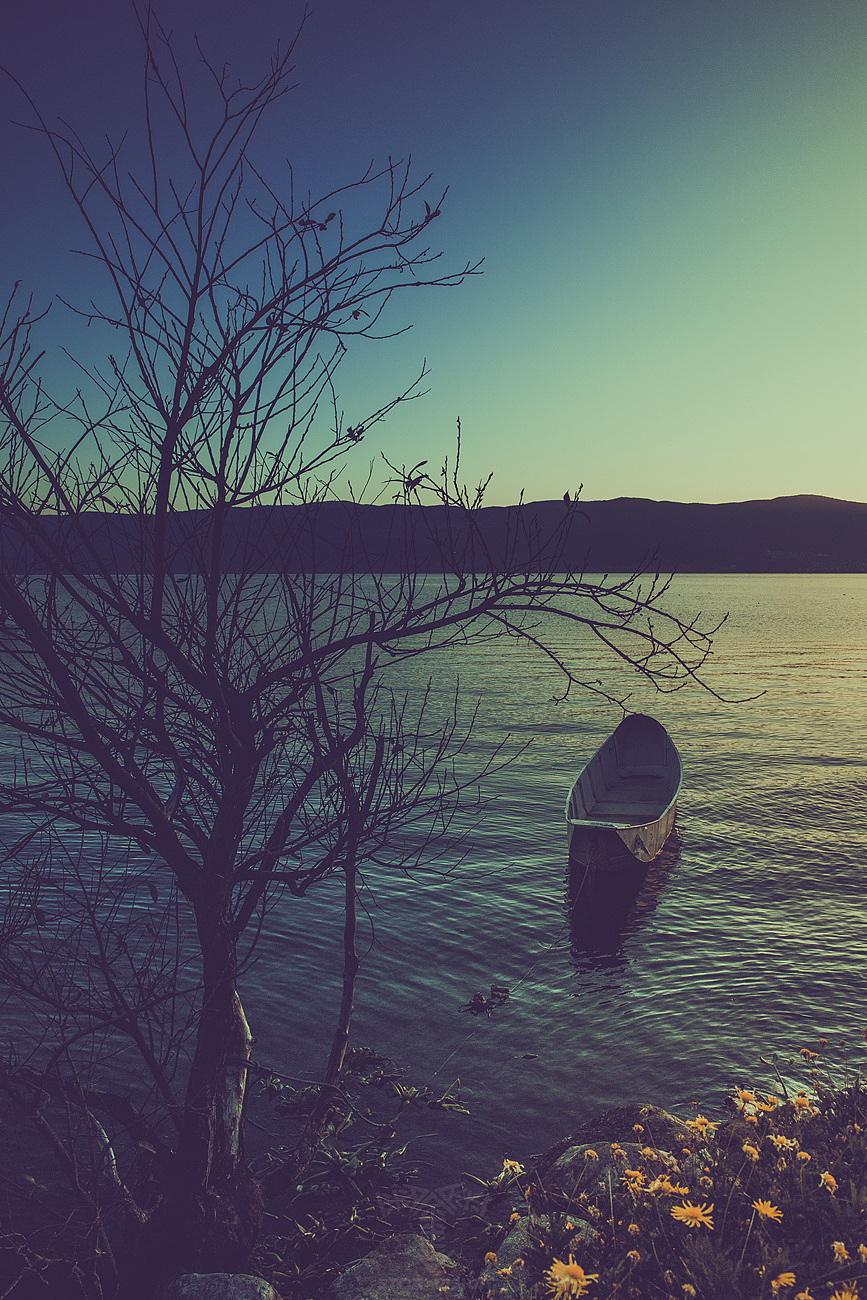 南国 有水也有光