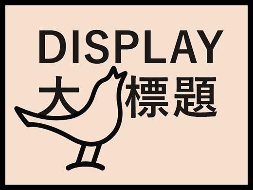 Display 大標題（个人主页-ZMjc4NjkwMDg=） - 海报 - 站酷设计师韓雅燕原创素材 - 站酷ZCOOL