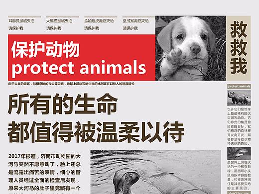 请给动物一点爱（个人主页-ZMzc3ODIwODA=） - 海报 - 站酷设计师做个梦给你啊原创素材 - 站酷ZCOOL