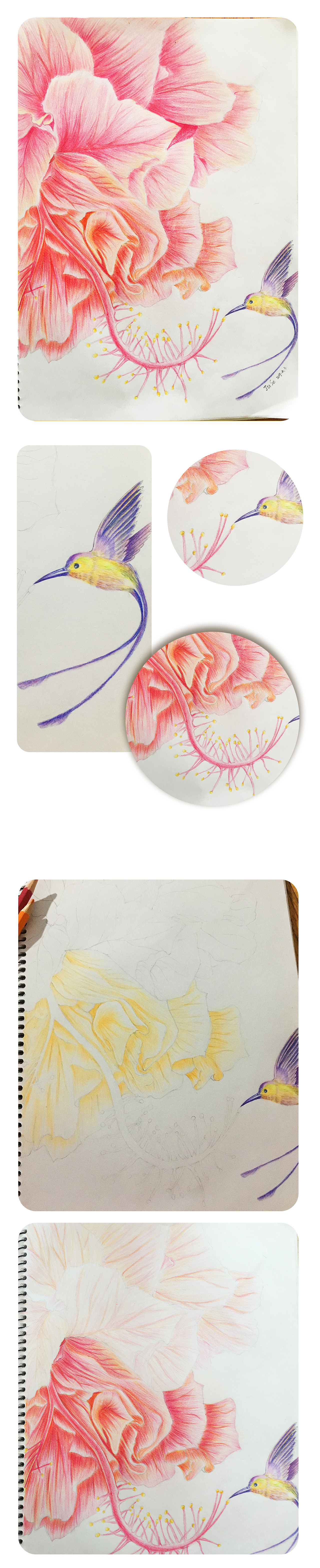 彩铅练习（图ZMTgyNjQxNDky） - 绘画 - 站酷设计师白菜517原创素材 - 站酷ZCOOL