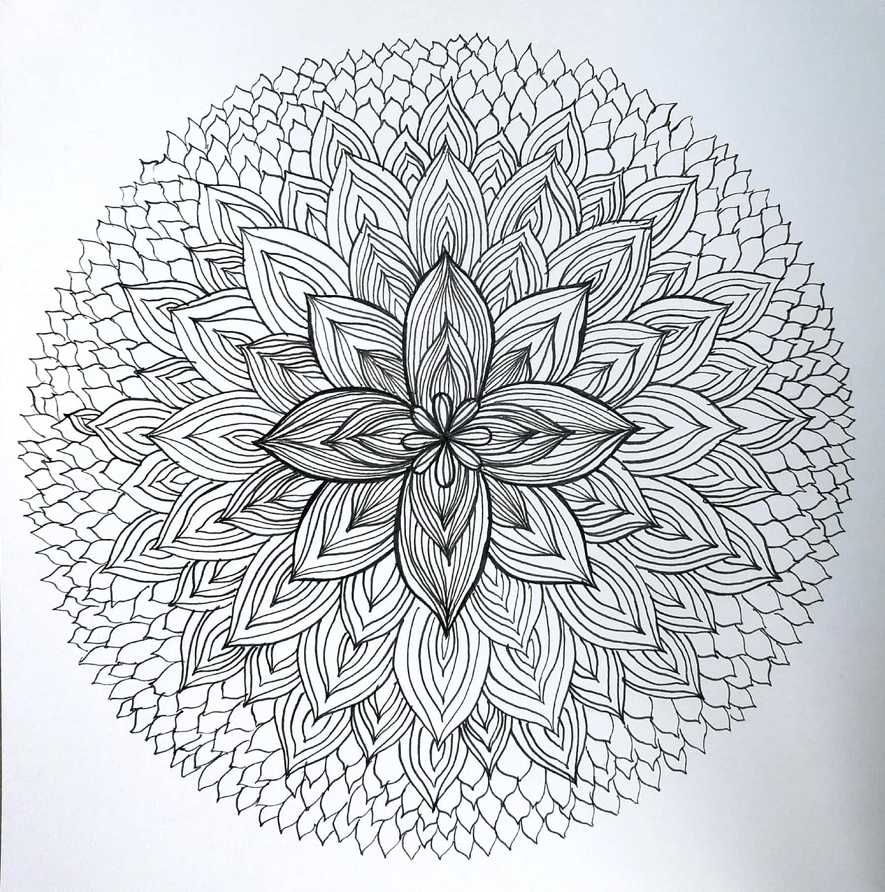 平构作业～～|平面|其他平面|裔子系_原创作品-站酷zcool