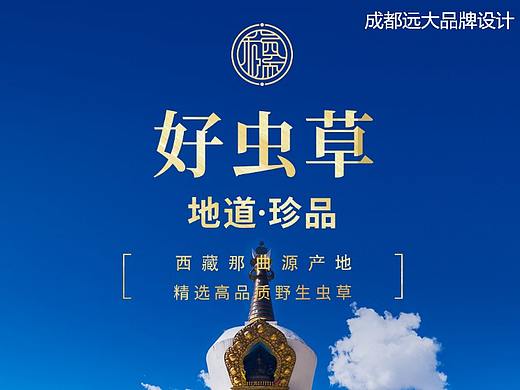 成都远大品牌设计为客户文总和气四瑞虫草做的品牌设计