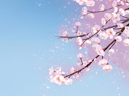 唯美樱花