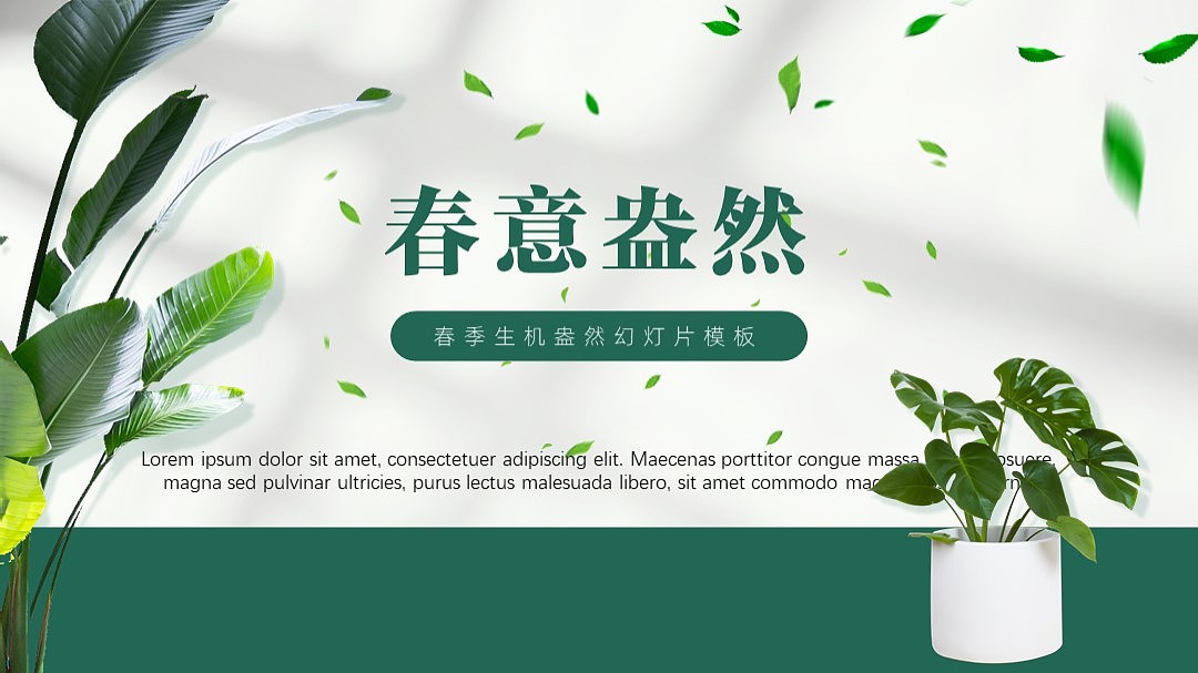 【春意盎然】春风格ppt设计（图ZMjU5NzkxNjQw） - PPT/Keynote - 站酷设计师狸花猫PPT原创素材 - 站酷ZCOOL