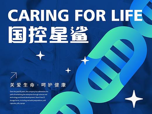 国控星鲨 品牌设计 | LOGO及70周年徽章 VI设计