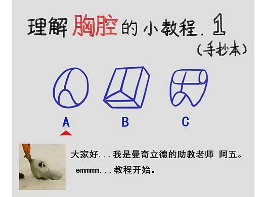 胸腔教程—1